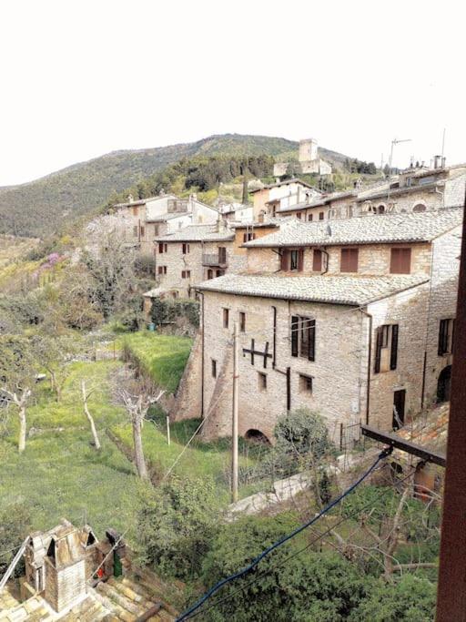 Appartamento Nonna Milde أسيسي المظهر الخارجي الصورة